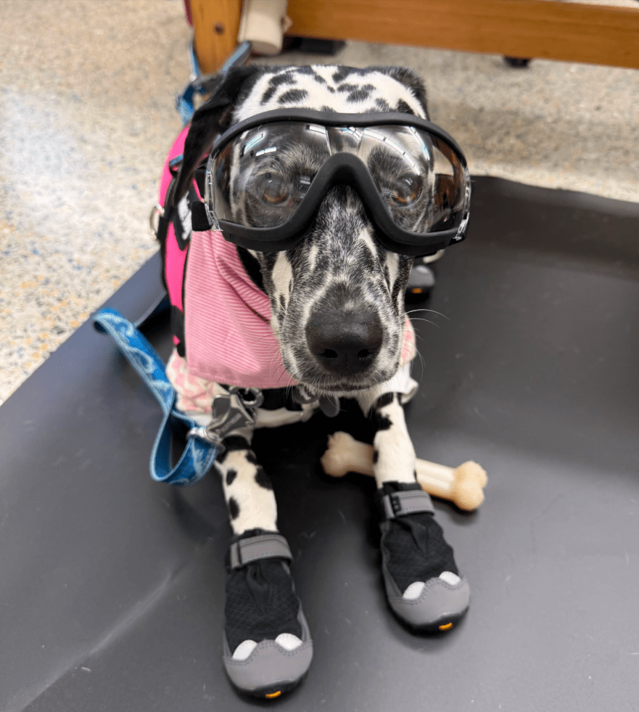 Maggie wearing protective equipment in the chemistry lab